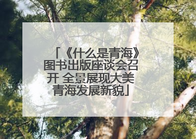 《什么是青海》图书出版座谈会召开 全景展现大美青海发展新貌
