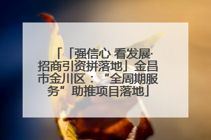 「强信心 看发展·招商引资拼落地」金昌市金川区：“全周期服务”助推项目落地