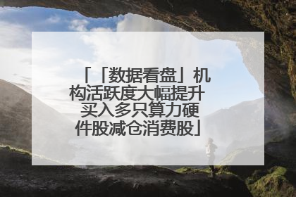 「数据看盘」机构活跃度大幅提升 买入多只算力硬件股减仓消费股