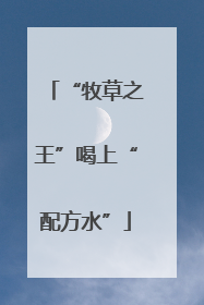 “牧草之王”喝上“配方水”