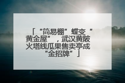 “简易棚”蝶变“黄金屋”，武汉黄陂火塔线瓜果售卖亭成“金招牌”