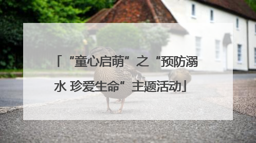 “童心启萌”之“预防溺水 珍爱生命”主题活动