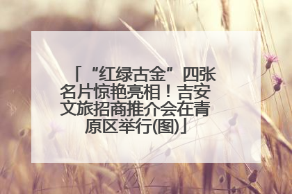 “红绿古金”四张名片惊艳亮相！吉安文旅招商推介会在青原区举行(图)