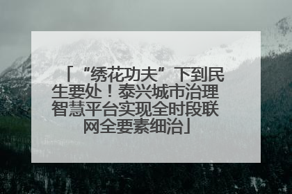 “绣花功夫”下到民生要处！泰兴城市治理智慧平台实现全时段联网全要素细治