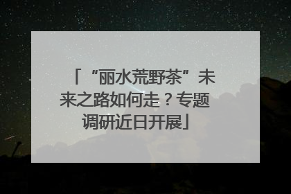 “丽水荒野茶”未来之路如何走？专题调研近日开展