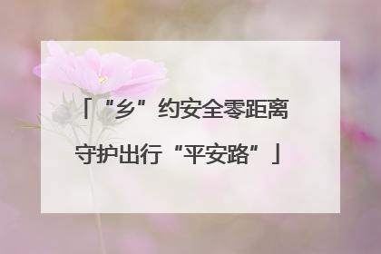 “乡”约安全零距离 守护出行“平安路”