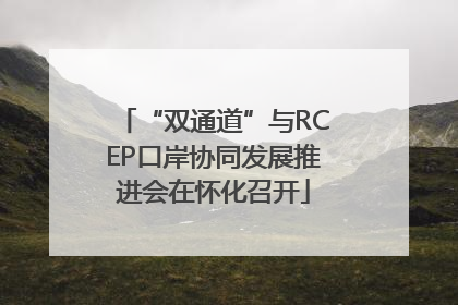 “双通道”与RCEP口岸协同发展推进会在怀化召开