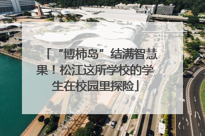 “博柿岛”结满智慧果！松江这所学校的学生在校园里探险