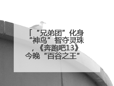 “兄弟团”化身“神鸟”智夺灵珠，《奔跑吧13》今晚“百谷之王”花落谁家？