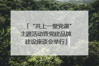 “共上一堂党课”主题活动暨党建品牌建设座谈会举行