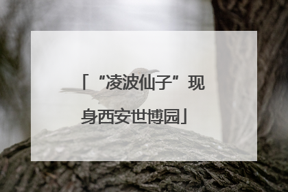 “凌波仙子”现身西安世博园