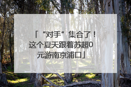 “对手”集合了！这个夏天跟着苏超0元游南京浦口