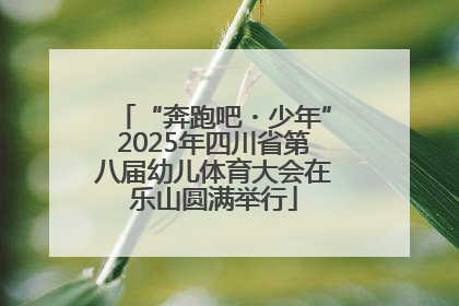 “奔跑吧・少年”2025年四川省第八届幼儿体育大会在乐山圆满举行