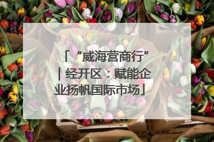 “威海营商行”｜经开区：赋能企业扬帆国际市场