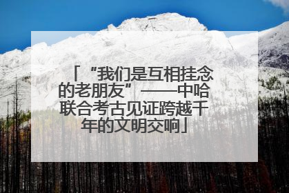 “我们是互相挂念的老朋友”——中哈联合考古见证跨越千年的文明交响