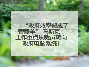 “政府效率部成了替罪羊” 马斯克：工作重点从裁员转向政府电脑系统