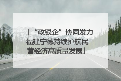 “政银企”协同发力 福建宁德持续护航民营经济高质量发展