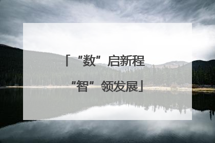“数”启新程 “智”领发展