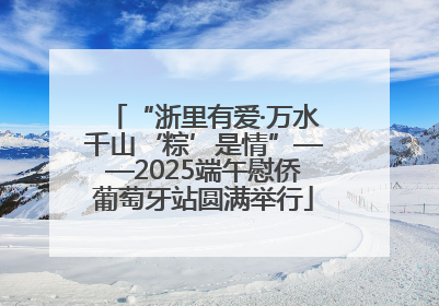 “浙里有爱·万水千山‘粽’是情”——2025端午慰侨葡萄牙站圆满举行