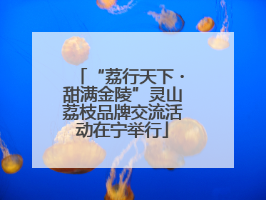 “荔行天下・甜满金陵”灵山荔枝品牌交流活动在宁举行