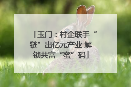 玉门：村企联手“链”出亿元产业 解锁共富“蜜”码