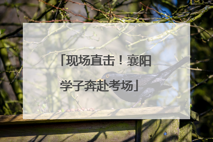 现场直击！襄阳学子奔赴考场