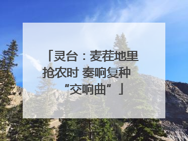 灵台：麦茬地里抢农时 奏响复种“交响曲”