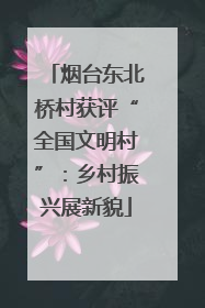 烟台东北桥村获评“全国文明村”：乡村振兴展新貌