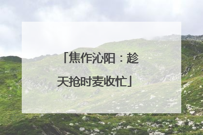 焦作沁阳：趁天抢时麦收忙