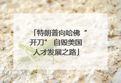 特朗普向哈佛“开刀” 自毁美国人才发展之路
