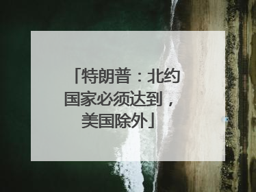 特朗普：北约国家必须达到，美国除外