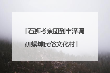 石狮考察团到丰泽调研蟳埔民俗文化村