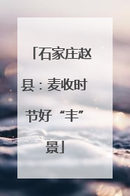 石家庄赵县：麦收时节好“丰”景
