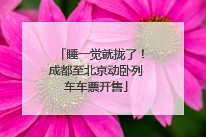 睡一觉就拢了！成都至北京动卧列车车票开售