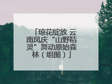 琼花绽放 云南凤庆“山野精灵”舞动原始森林（组图）