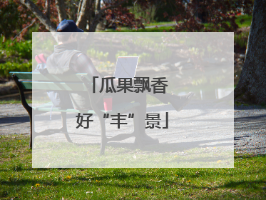 瓜果飘香 好“丰”景