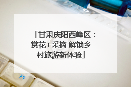 甘肃庆阳西峰区：赏花+采摘 解锁乡村旅游新体验