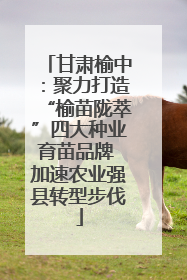 甘肃榆中：聚力打造“榆苗陇萃”四大种业育苗品牌 加速农业强县转型步伐