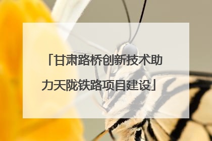 甘肃路桥创新技术助力天陇铁路项目建设