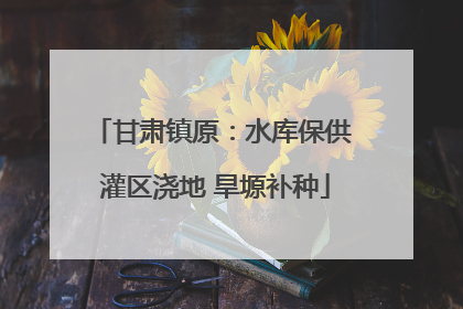 甘肃镇原：水库保供 灌区浇地 旱塬补种