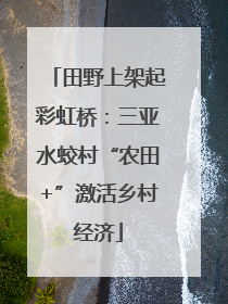 田野上架起彩虹桥：三亚水蛟村“农田+”激活乡村经济