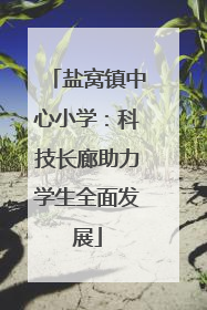 盐窝镇中心小学：科技长廊助力学生全面发展
