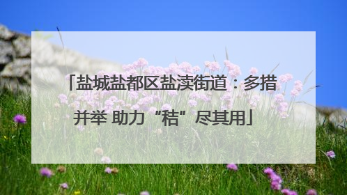盐城盐都区盐渎街道：多措并举 助力“秸”尽其用