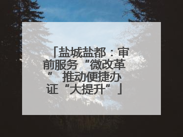 盐城盐都：审前服务“微改革” 推动便捷办证“大提升”