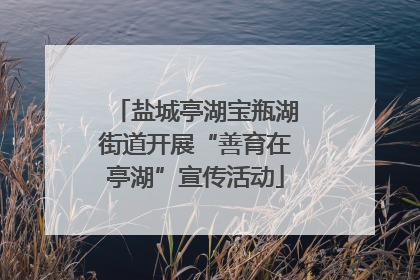 盐城亭湖宝瓶湖街道开展“善育在亭湖”宣传活动