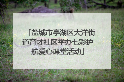 盐城市亭湖区大洋街道育才社区举办七彩护航爱心课堂活动