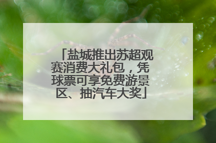 盐城推出苏超观赛消费大礼包，凭球票可享免费游景区、抽汽车大奖