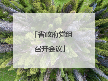 省政府党组召开会议