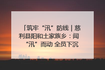 筑牢“汛”防线｜慈利县阳和土家族乡：闻“汛”而动 全员下沉筑牢防汛“安全堤”
