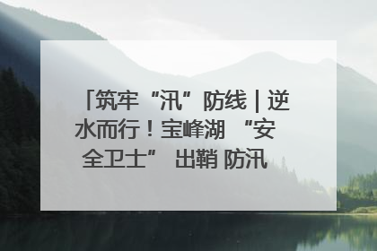 筑牢“汛”防线｜逆水而行！宝峰湖 “安全卫士” 出鞘 防汛应急再添硬核力量